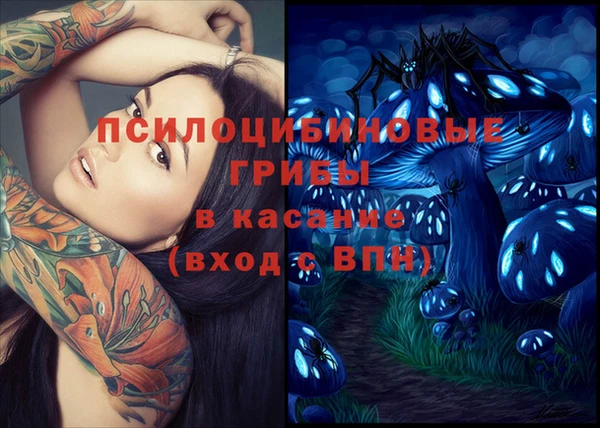 spice Гусиноозёрск