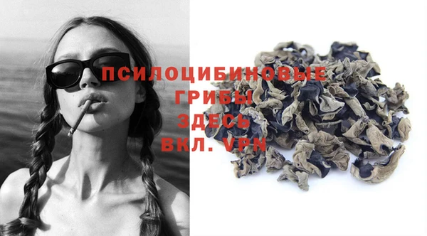 меф Гусь-Хрустальный