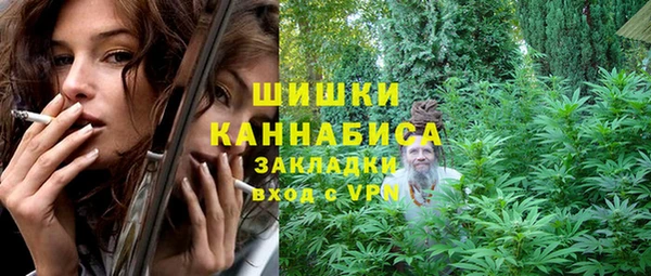 spice Гусиноозёрск