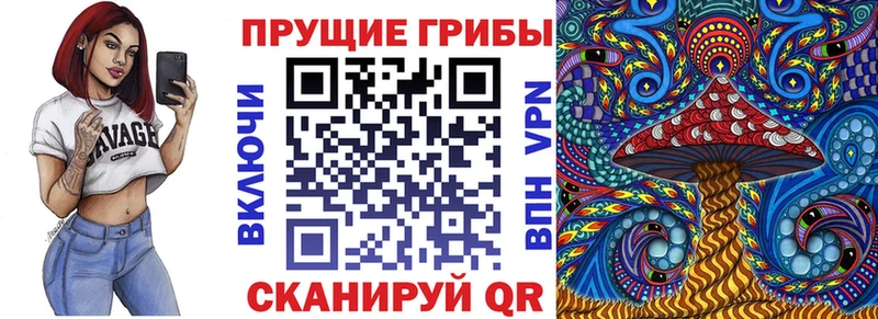 Псилоцибиновые грибы Magic Shrooms  Купить  Камызяк 