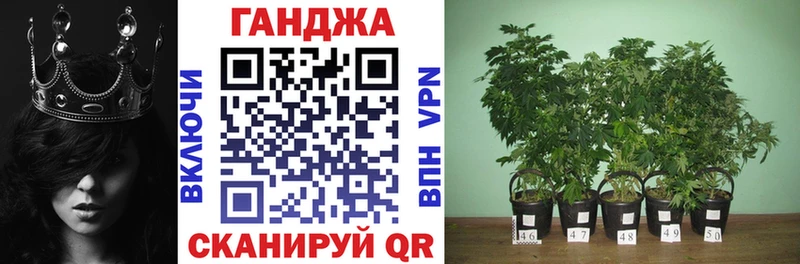 Купить где  Камызяк  Конопля Amnesia 